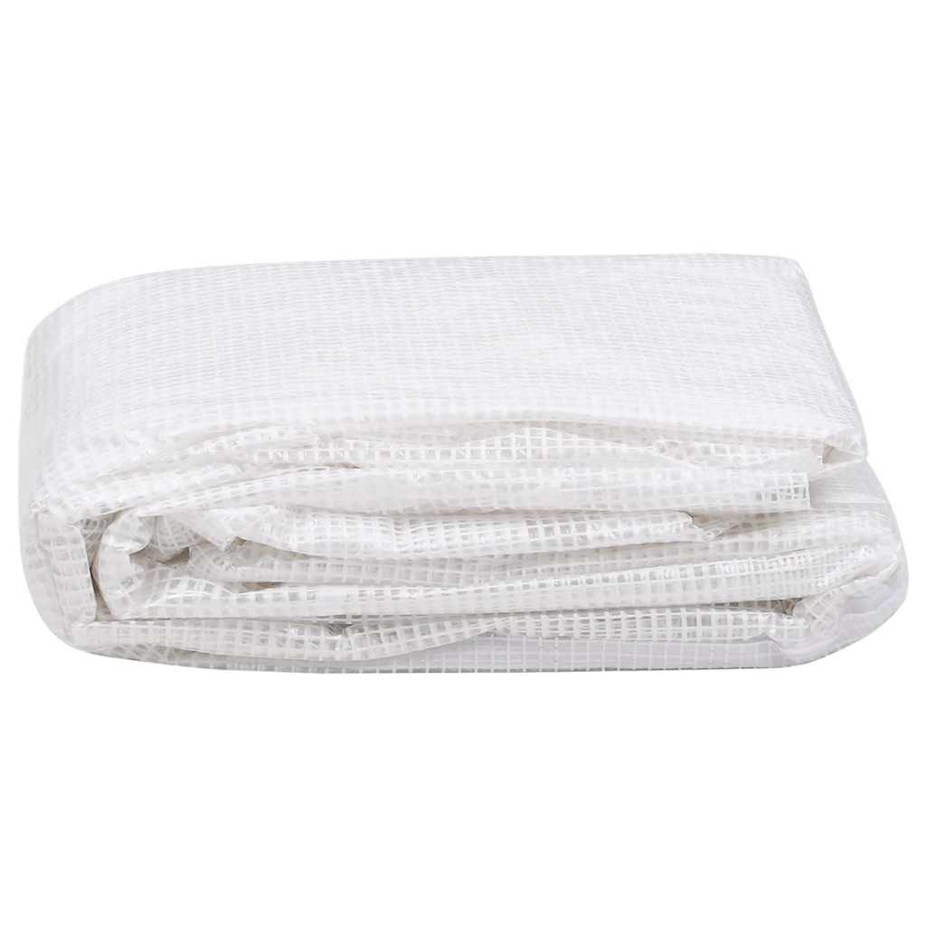 Telo di Ricambio per Serra (27 m²) 3x9x2 m Trasparente - homemem39