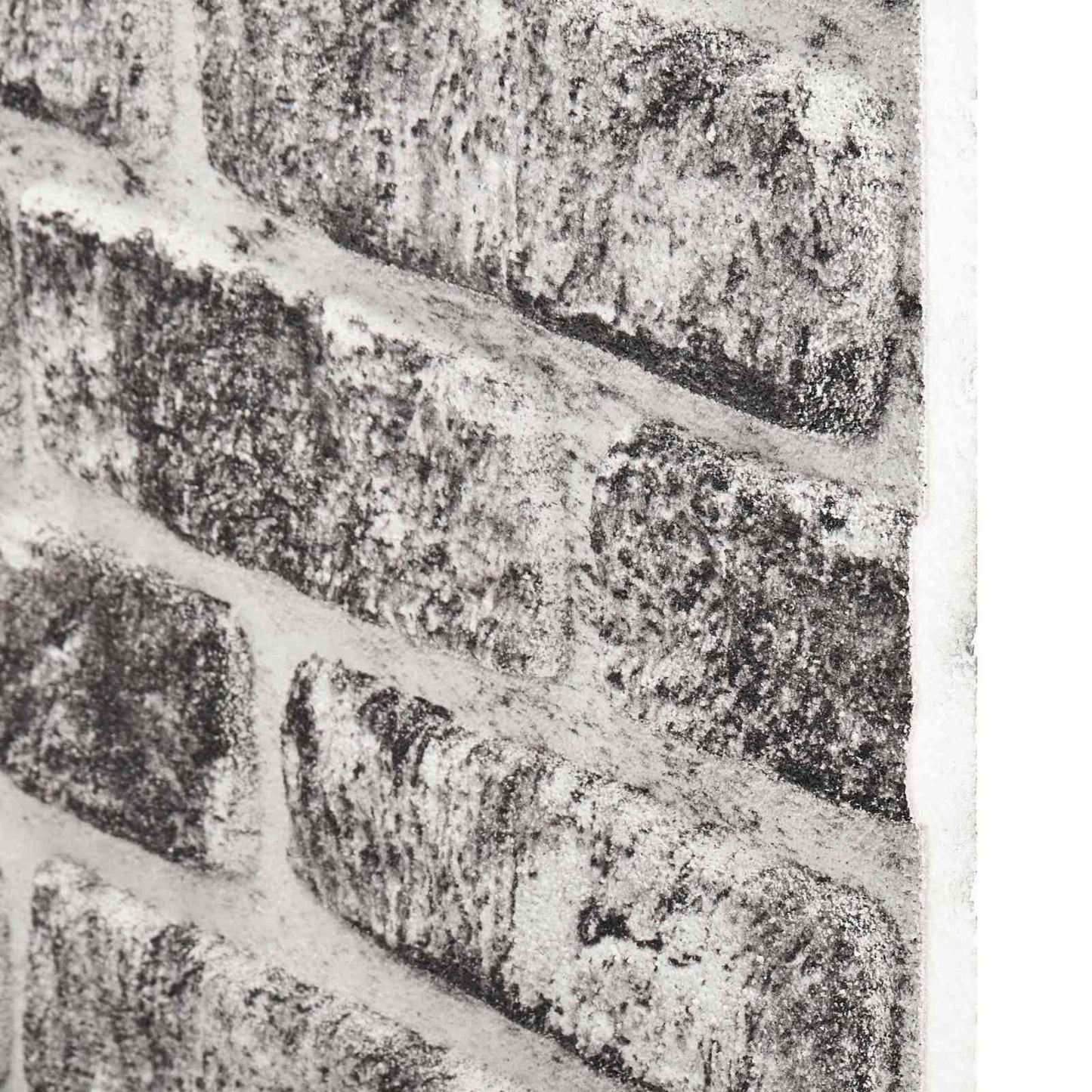 Pannelli da parete 10 pcs Grigio Scuro e Bianco 100 x 50 cm
