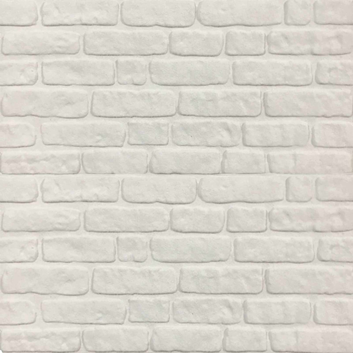 Pannelli da parete 10 pcs Bianco 100 x 50 cm Schiuma EPS | homemem39