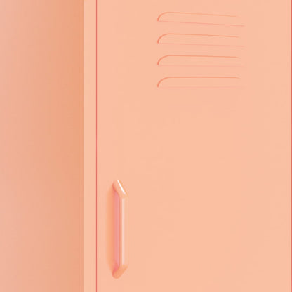 Armadietto Rosa 42,5x35x101,5 cm in Acciaio