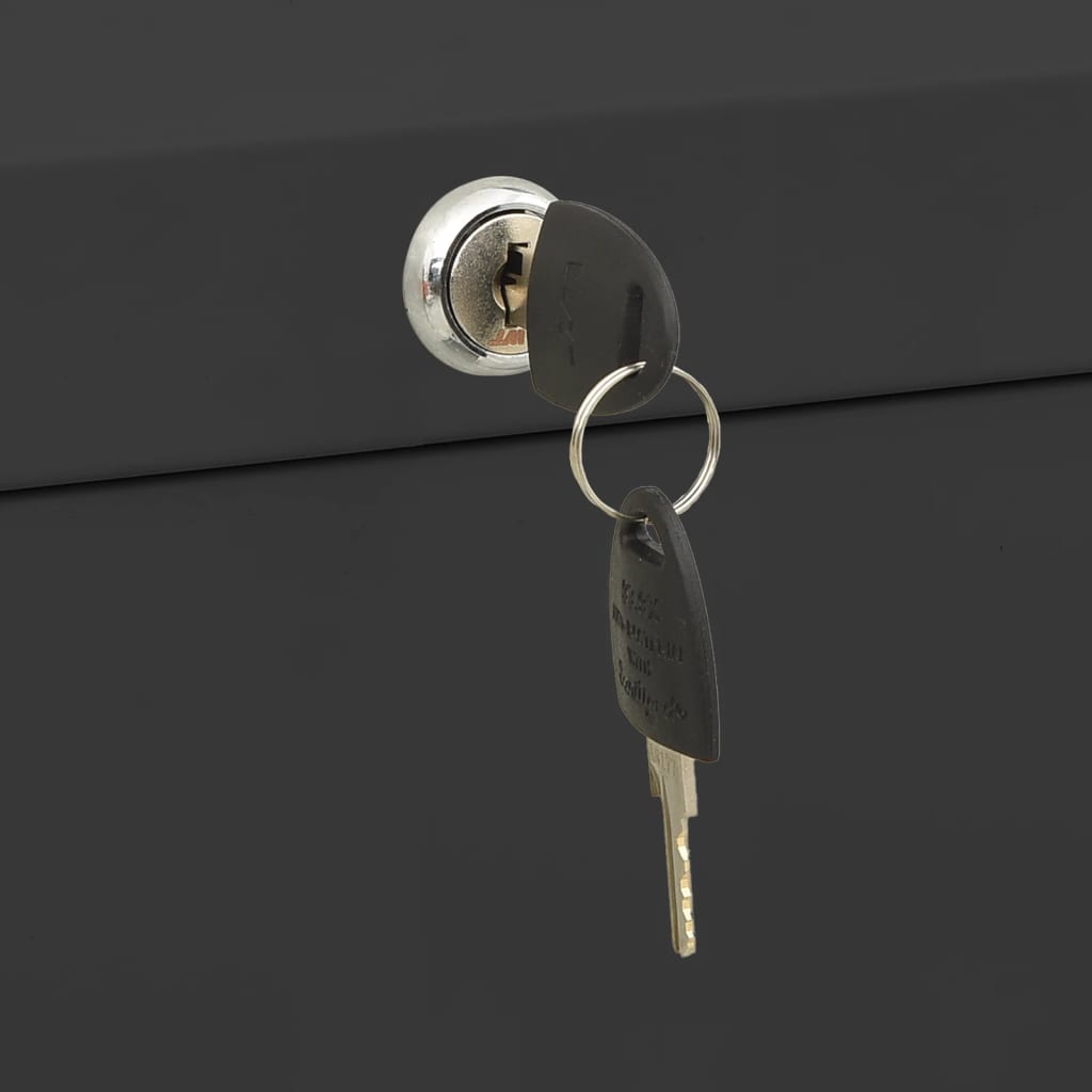 Armadio Classificatore Antracite 90x46x134 cm in Acciaio - homemem39