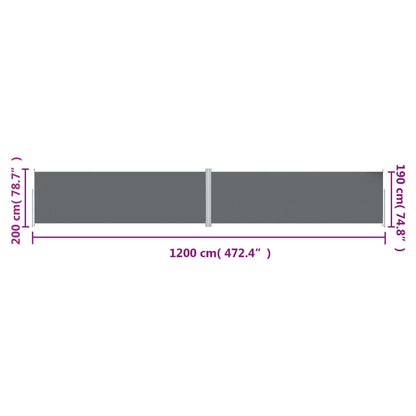 Tenda da Sole Laterale Retrattile Antracite 200x1200 cm | homemem39