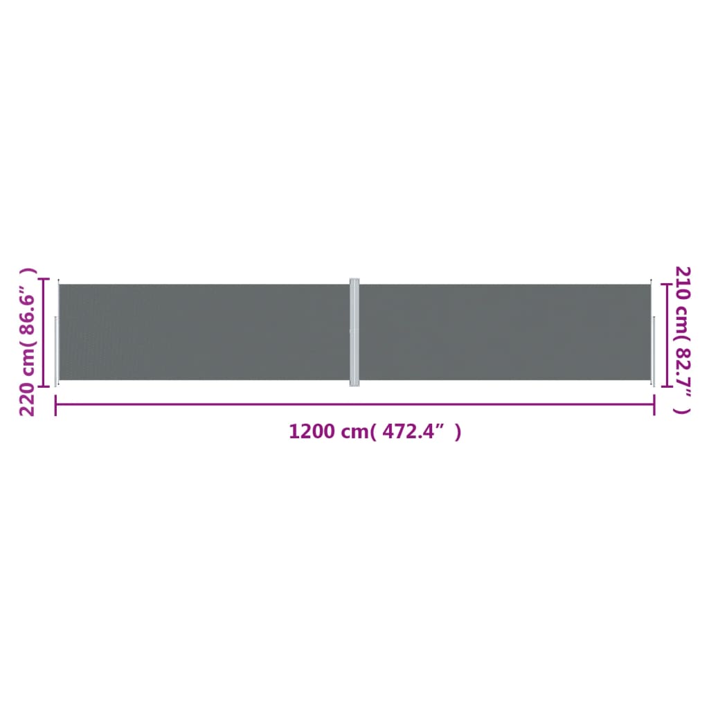 Tenda da Sole Laterale Retrattile Antracite 220x1200 cm