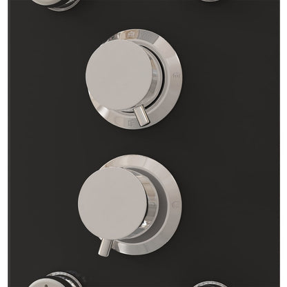 Pannello Doccia in Vetro 25x47,5x130 cm Nero - homemem39