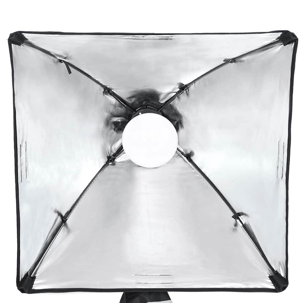 Kit per Studio Fotografico con Set Luci, Fondale e Riflettore | homemem39
