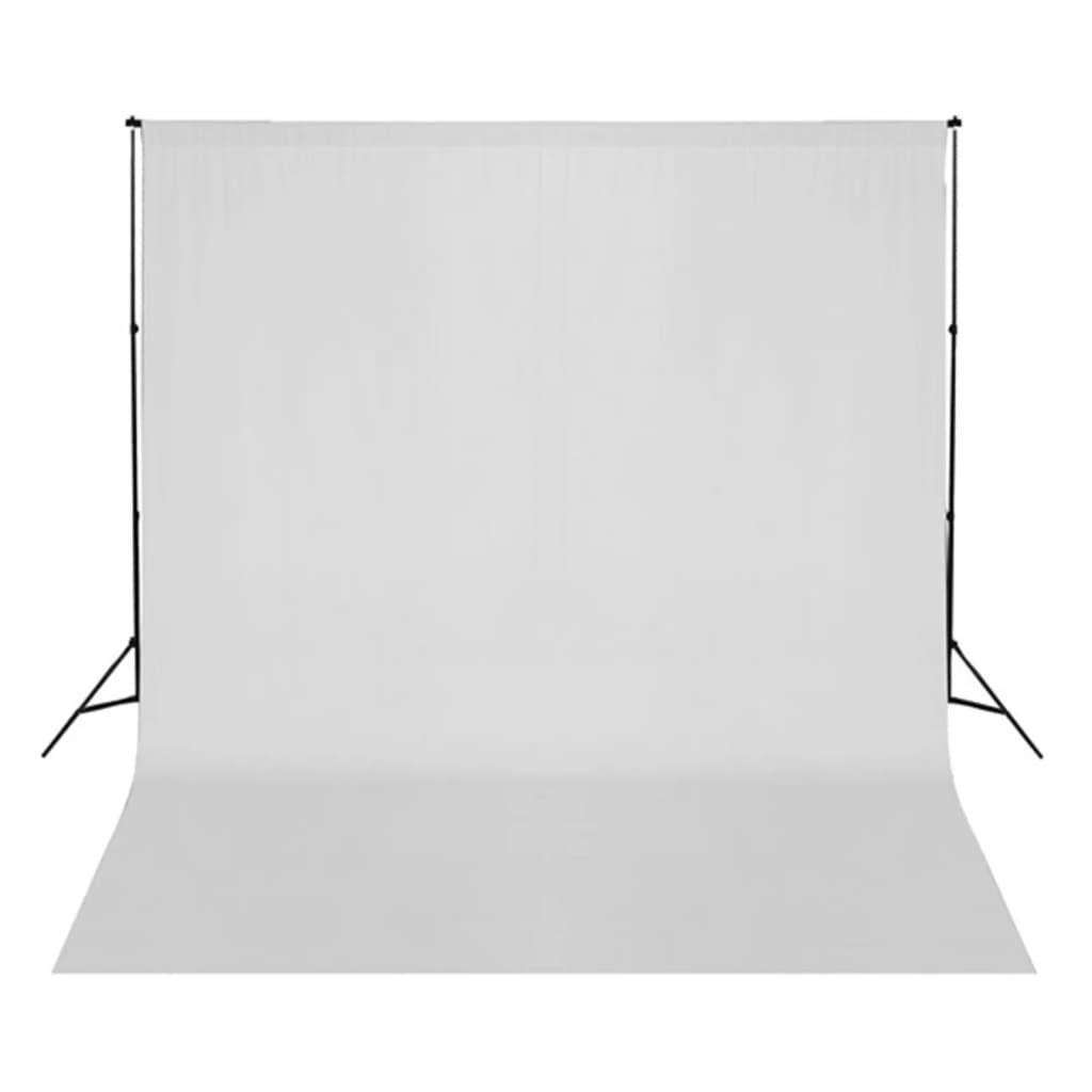 Kit per Studio Fotografico con Set di Luci e Fondale - homemem39