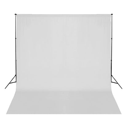 Kit per Studio Fotografico con Set di Luci e Fondale - homemem39