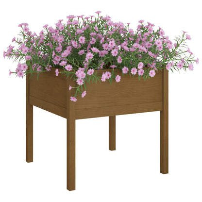 Fioriera Giardino Marrone Ambra 70x70x70 cm Legno Massello Pino | homemem39