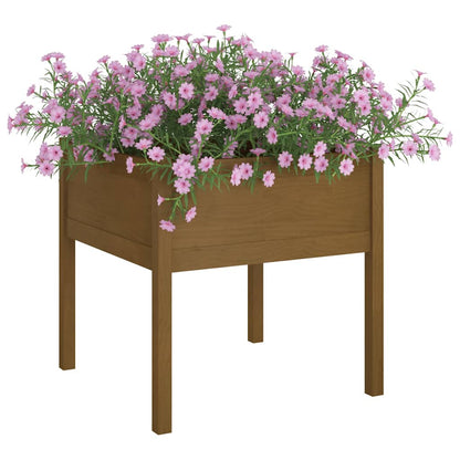Fioriera Giardino Marrone Ambra 70x70x70 cm Legno Massello Pino