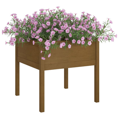 Fioriere 2 pz Ambra 70x70x70 cm in Legno Massello di Pino