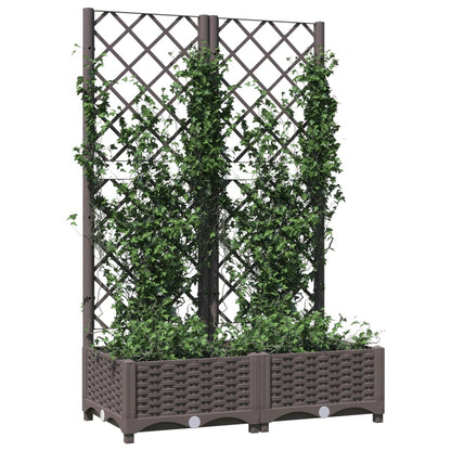 Fioriera da Giardino con Graticcio Marrone 80x40x121,5 cm in PP - homemem39