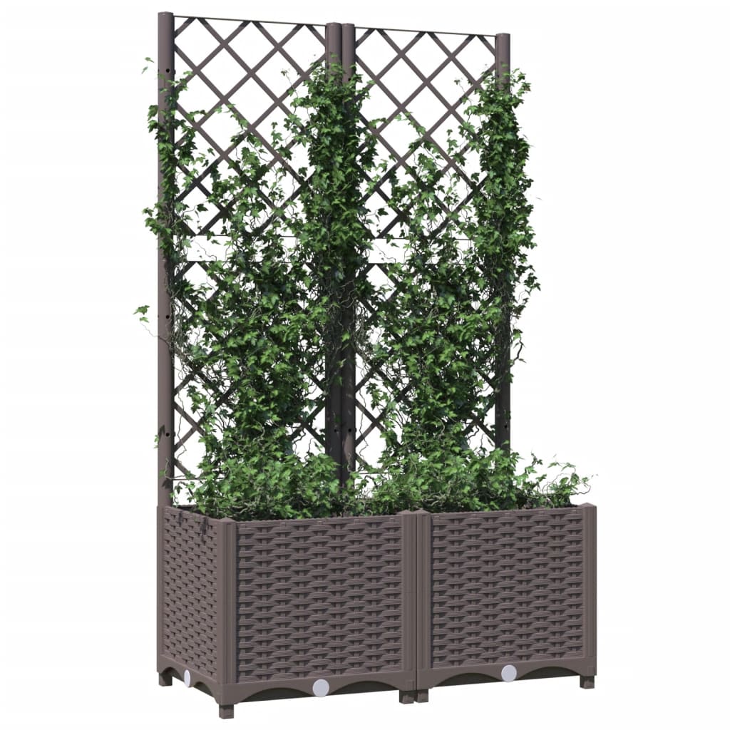 Fioriera da Giardino con Graticcio Marrone 80x40x136 cm in PP - homemem39