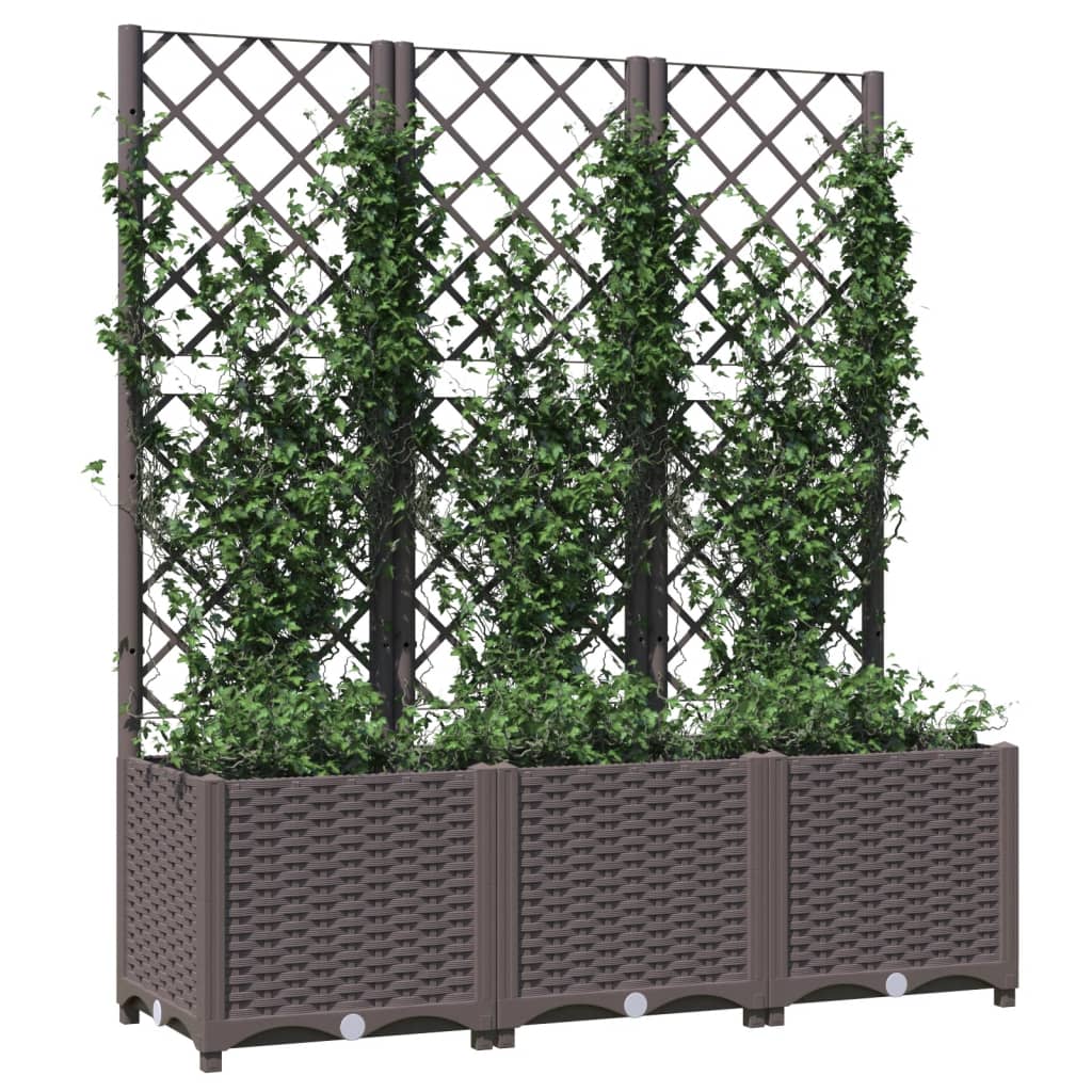Fioriera da Giardino con Graticcio Marrone 120x40x136 cm in PP - homemem39