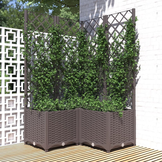 Fioriera da Giardino con Graticcio Marrone 80x80x136 cm in PP - homemem39