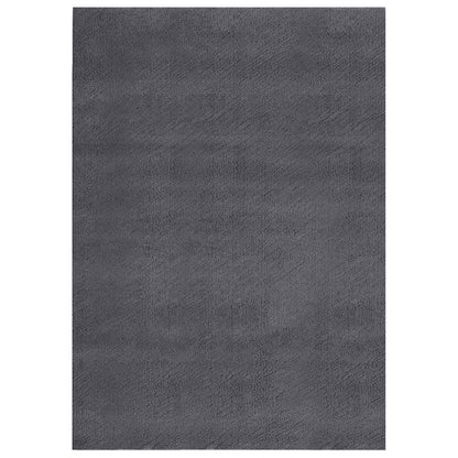 Tappeto Soffice Pelo Corto 160x230 cm Antiscivolo Antracite | homemem39