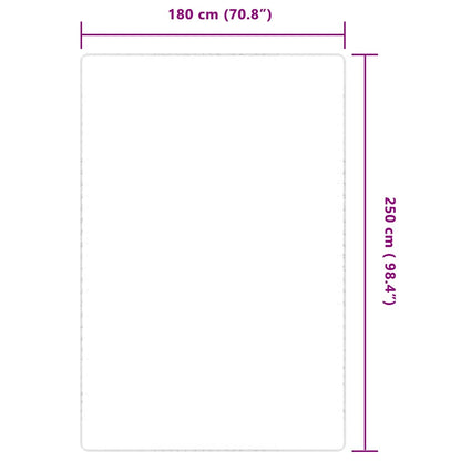 Tappeto di Iuta con Base in Lattice 180x250 cm | homemem39