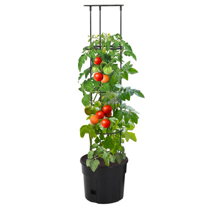 Vaso a Torre per Pomodori Antracite Ø29,5x115 cm Polipropilene