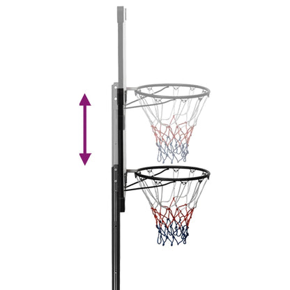 Supporto per Pallacanestro Trasparente 280-350 cm Policarbonato