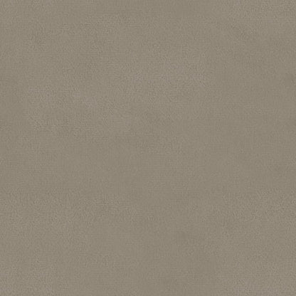 Sedie da Pranzo 2 pz Grigio Chiaro in Velluto - homemem39