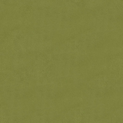 Sedie da Pranzo 2 pz Verde Chiaro in Velluto