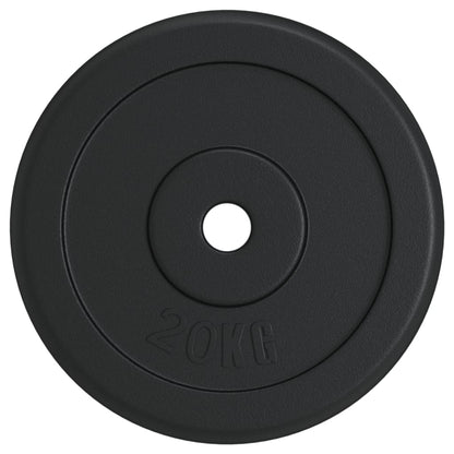 Disco per Pesi 20 kg in Ghisa