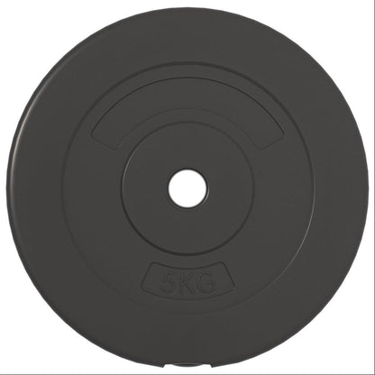 Dischi per Pesi 6 pz 30 kg in Cemento | homemem39