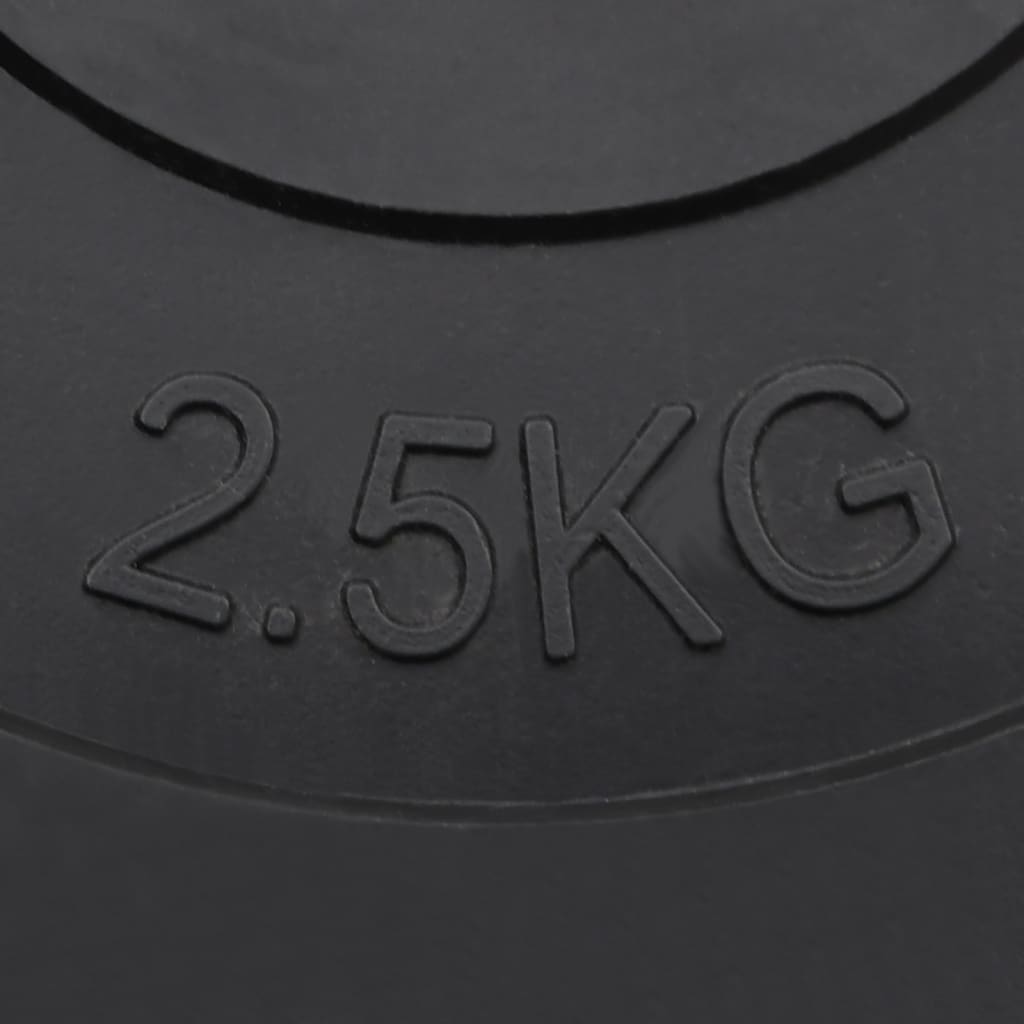 Dischi per Pesi 6 pz 30 kg in Cemento | homemem39