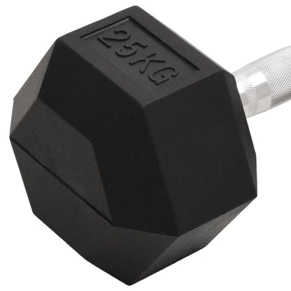 Manubrio 25 kg Ghisa | homemem39