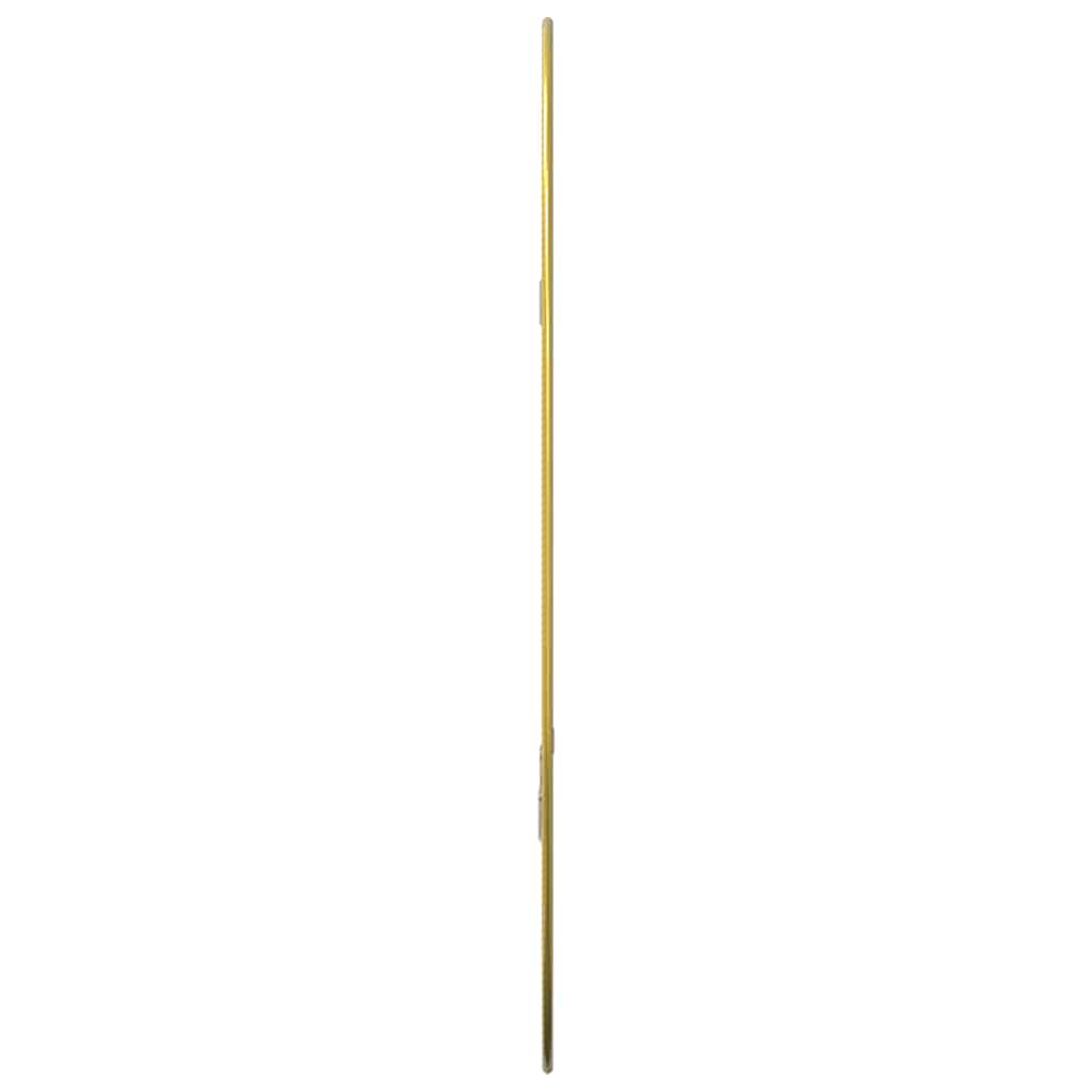 Specchio da Parete Dorato 50x35 cm | homemem39