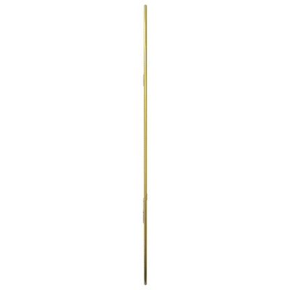 Specchio da Parete Dorato 50x35 cm | homemem39