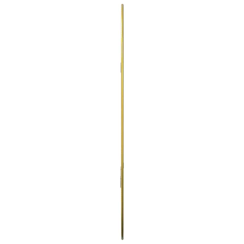 Specchio da Parete Dorato 60x40 cm | homemem39