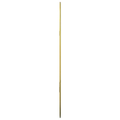 Specchio da Parete Dorato 60x40 cm | homemem39