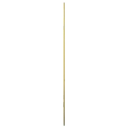 Specchio da Parete Dorato 80x50 cm | homemem39
