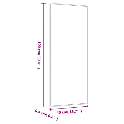 Specchio da Parete 40x100 cm Vetro Rettangolare | homemem39