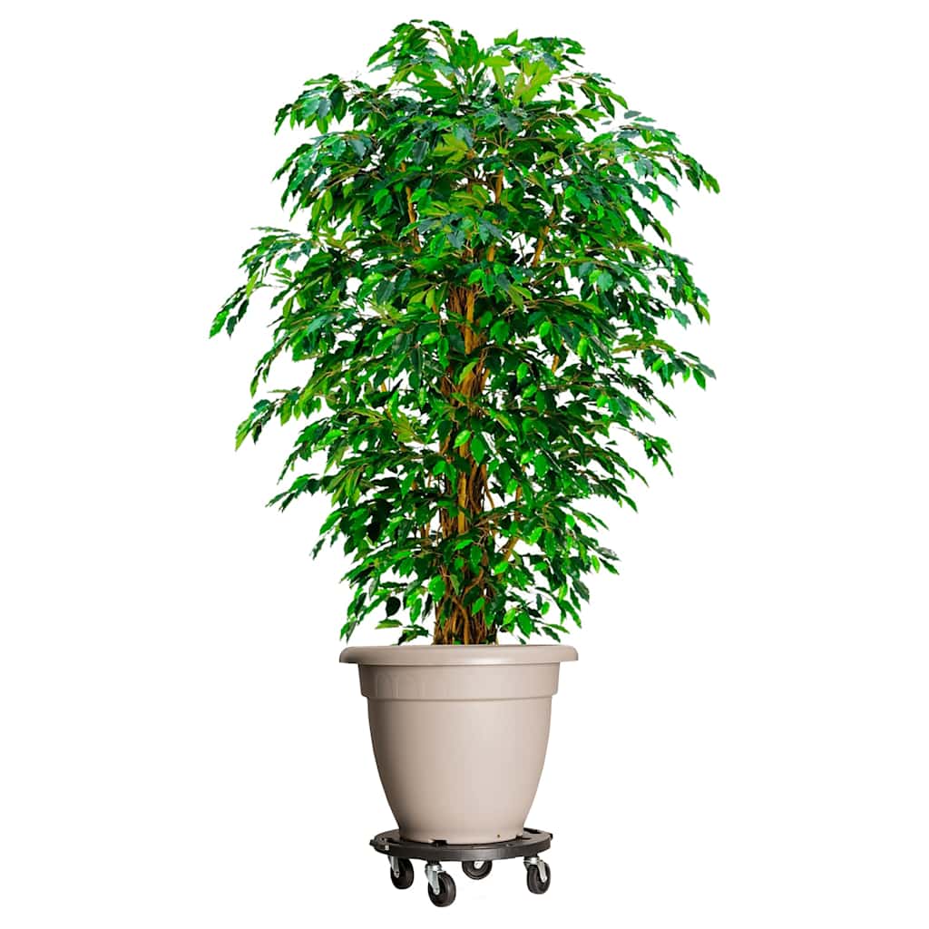 Carrelli per Piante con Ruote 3 pz Diametro 40 cm Neri 275 kg | homemem39