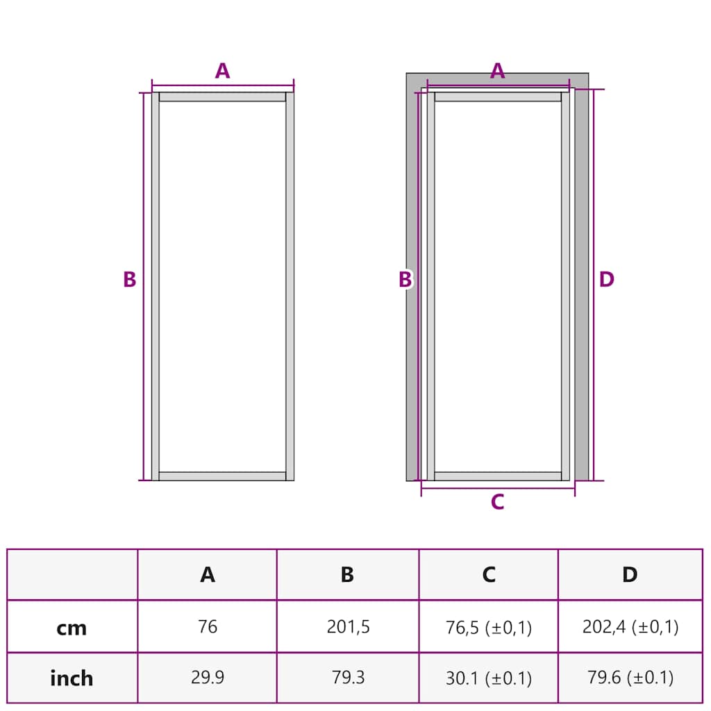 Porta Interna 76x201,5 cm Nero Opaco Vetro e Alluminio | homemem39