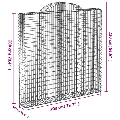 Cesti Gabbioni ad Arco 4 pz 200x30x200/220 cm Ferro Zincato