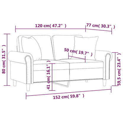 Divano a 2 Posti con Cuscini Grigio Chiaro 120 cm in Velluto | homemem39