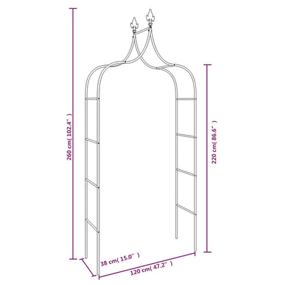 Archi da Giardino 2 pz Neri 120x38x260 cm Acciaio - homemem39