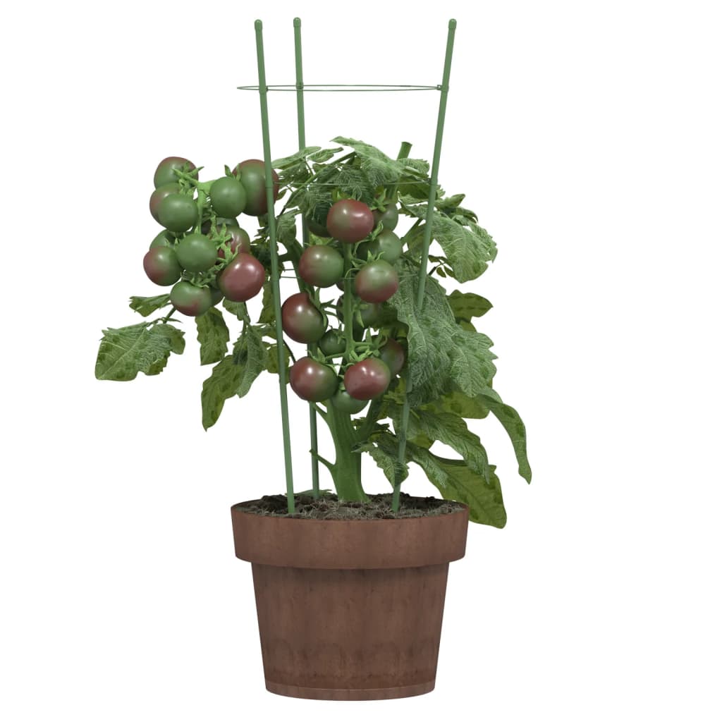 Supporti Piante da Giardino con 3 Anelli 5pz Verde 45cm Acciaio | homemem39