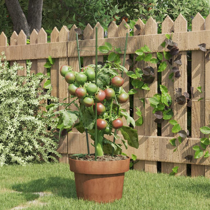 Supporti Piante da Giardino con 3 Anelli 5pz Verde 45cm Acciaio | homemem39