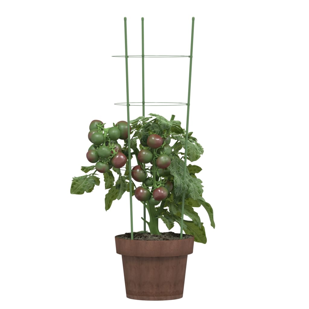 Supporti Piante da Giardino con 3 Anelli 5pz Verde 60cm Acciaio | homemem39