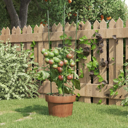 Supporti Piante da Giardino con 3 Anelli 5pz Verde 60cm Acciaio | homemem39