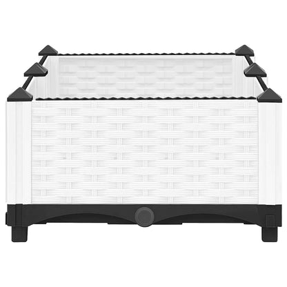 Fioriera Rialzata 80x40x23 cm in Polipropilene