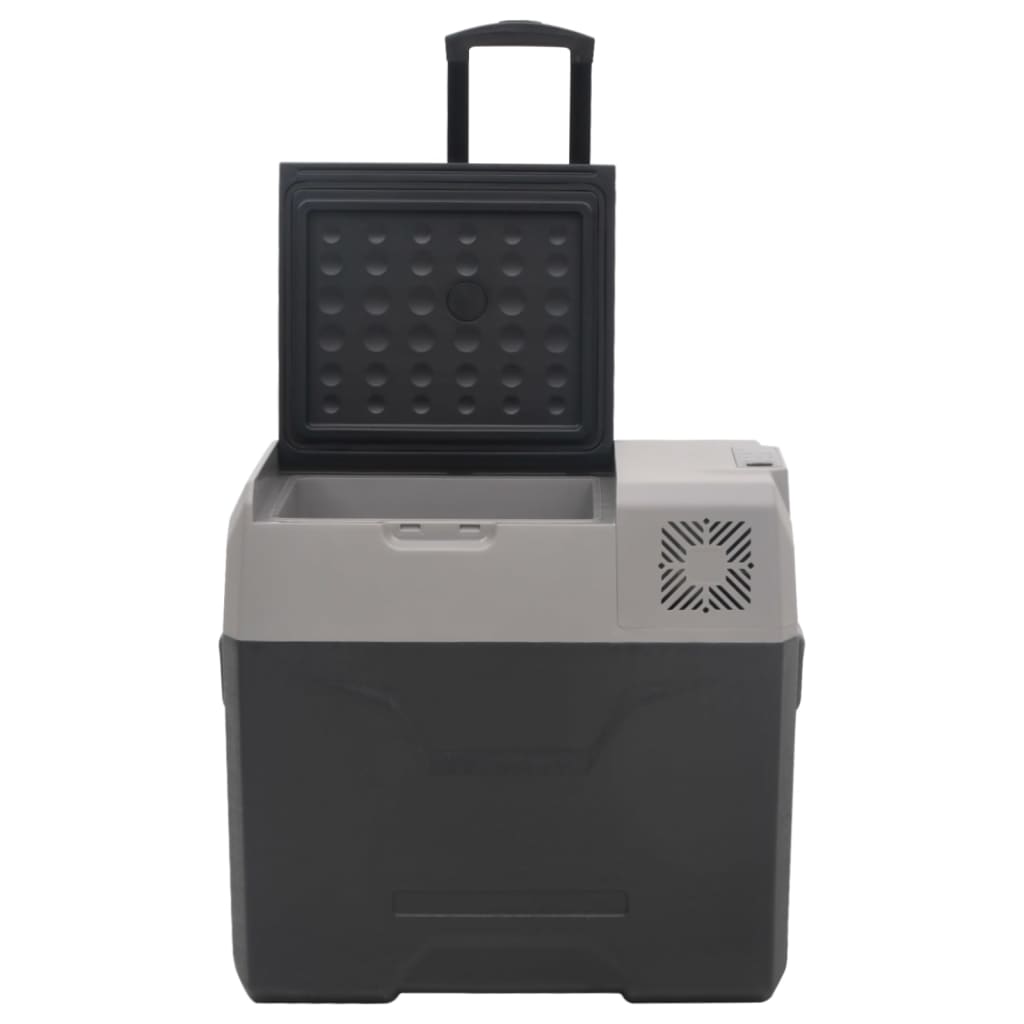 Borsa Frigo con Manico e Ruote Nera e Grigia 30 L Polipropilene | homemem39