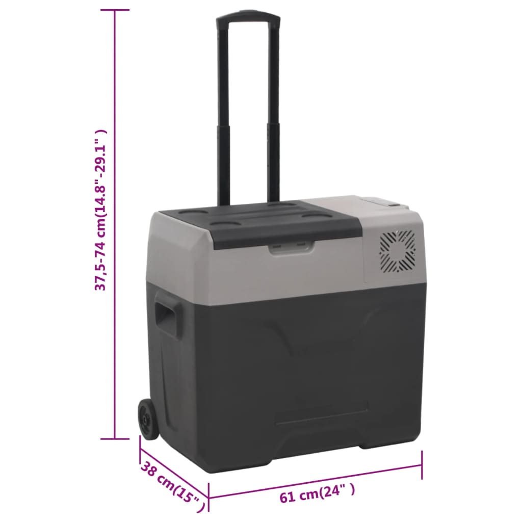 Borsa Frigo con Manico e Ruote Nera e Grigia 30 L Polipropilene | homemem39