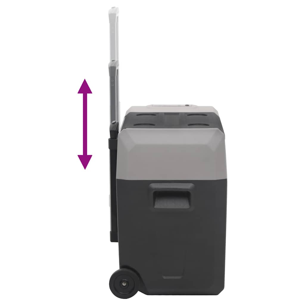 Borsa Frigo con Manico e Ruote Nera e Grigia 40 L Polipropilene | homemem39