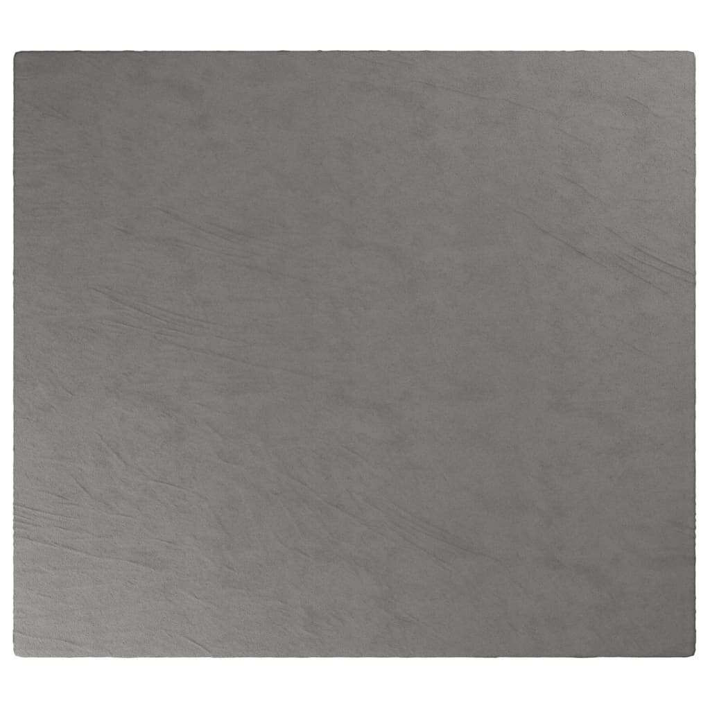 Coperta Ponderata con Copertura Grigio 200x220 cm 13 kg Tessuto - homemem39