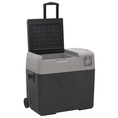 Borsa Frigo con Ruote Adattatore Nera Grigia 40 L Polipropilene | homemem39