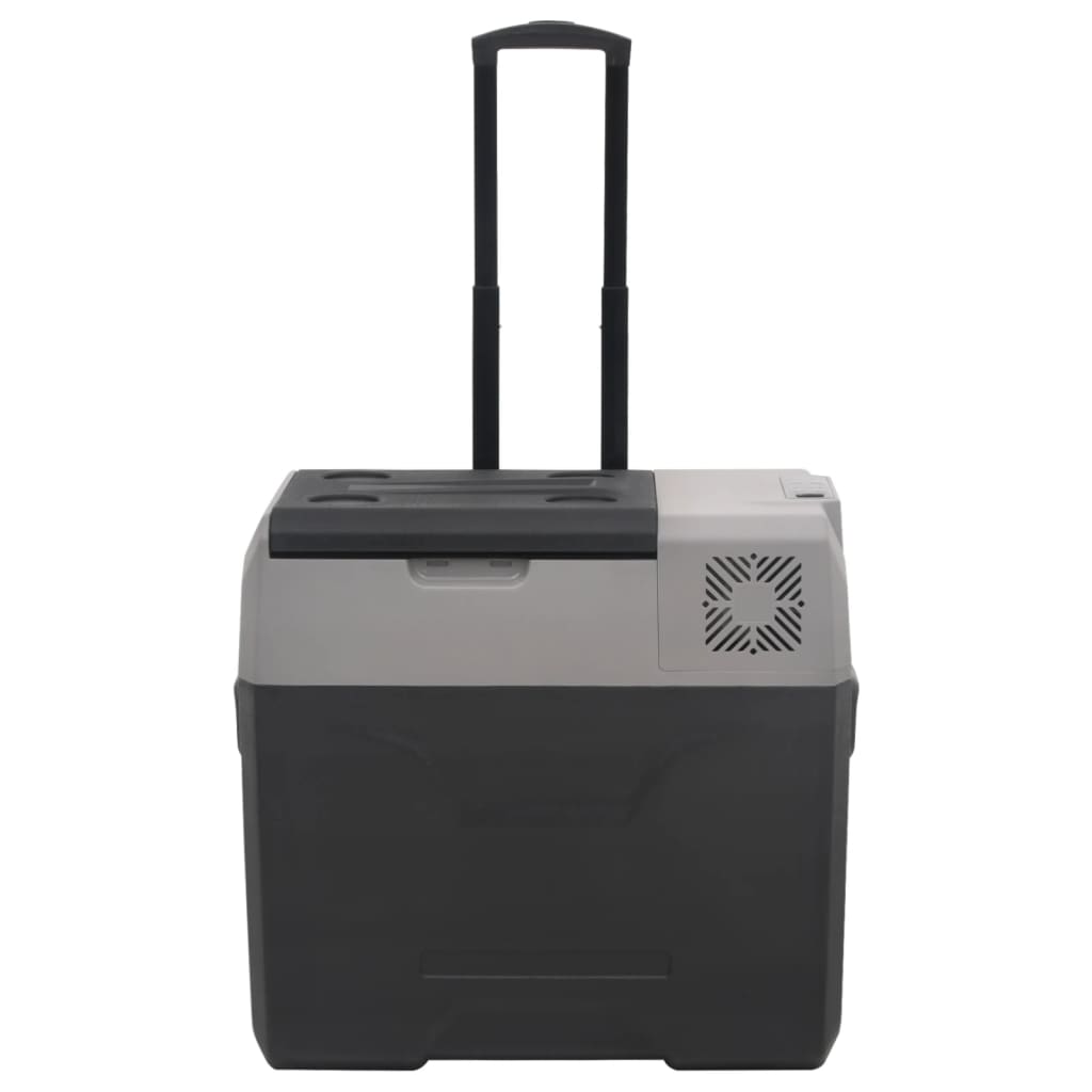Borsa Frigo con Ruote Adattatore Nera Grigia 40 L Polipropilene | homemem39